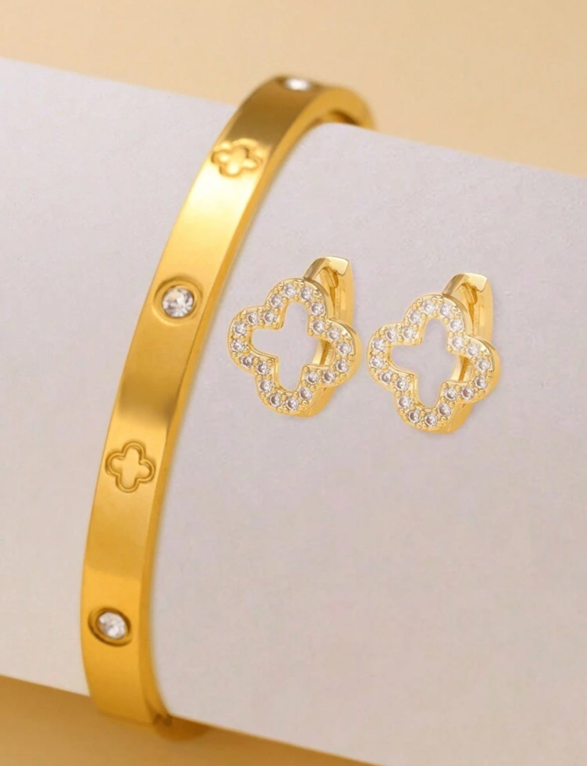 Conjunto pulsera y zarcillos E50